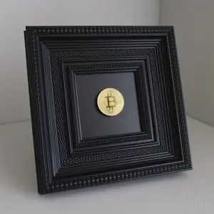 Håndlaget bitcoin minnesmykke/m ramme